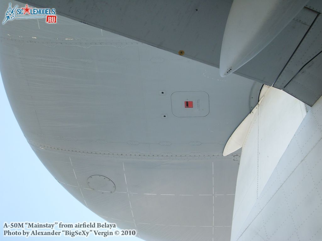 SL275584.jpg