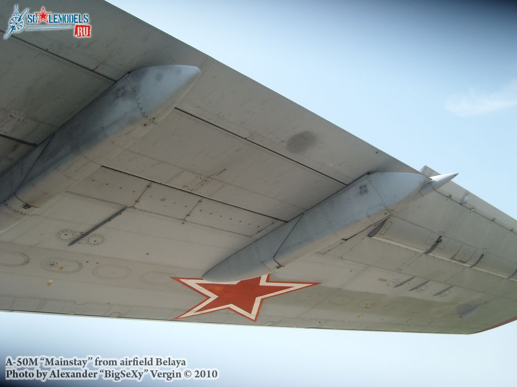 SL275588.jpg