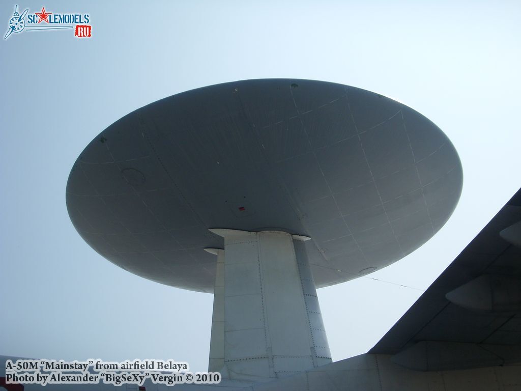 SL275594.jpg