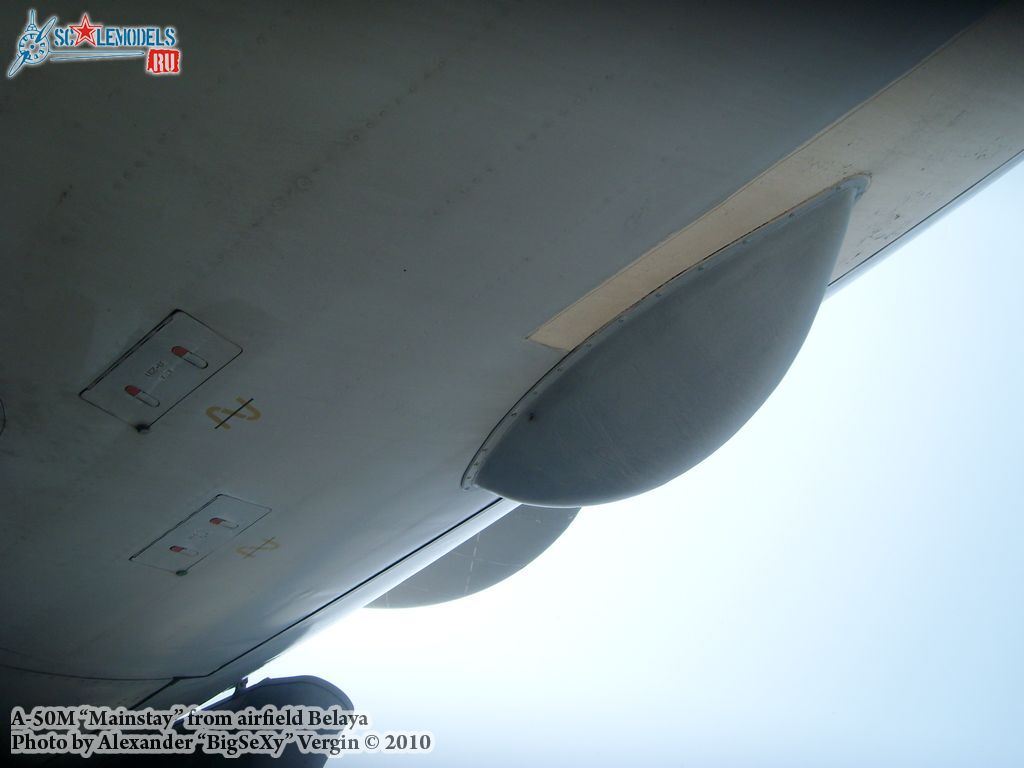 SL275609.jpg