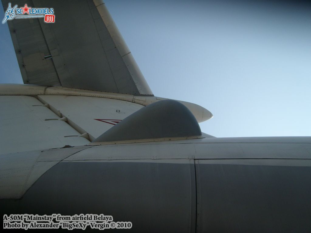 SL275615.jpg