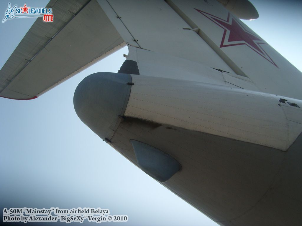 SL275617.jpg