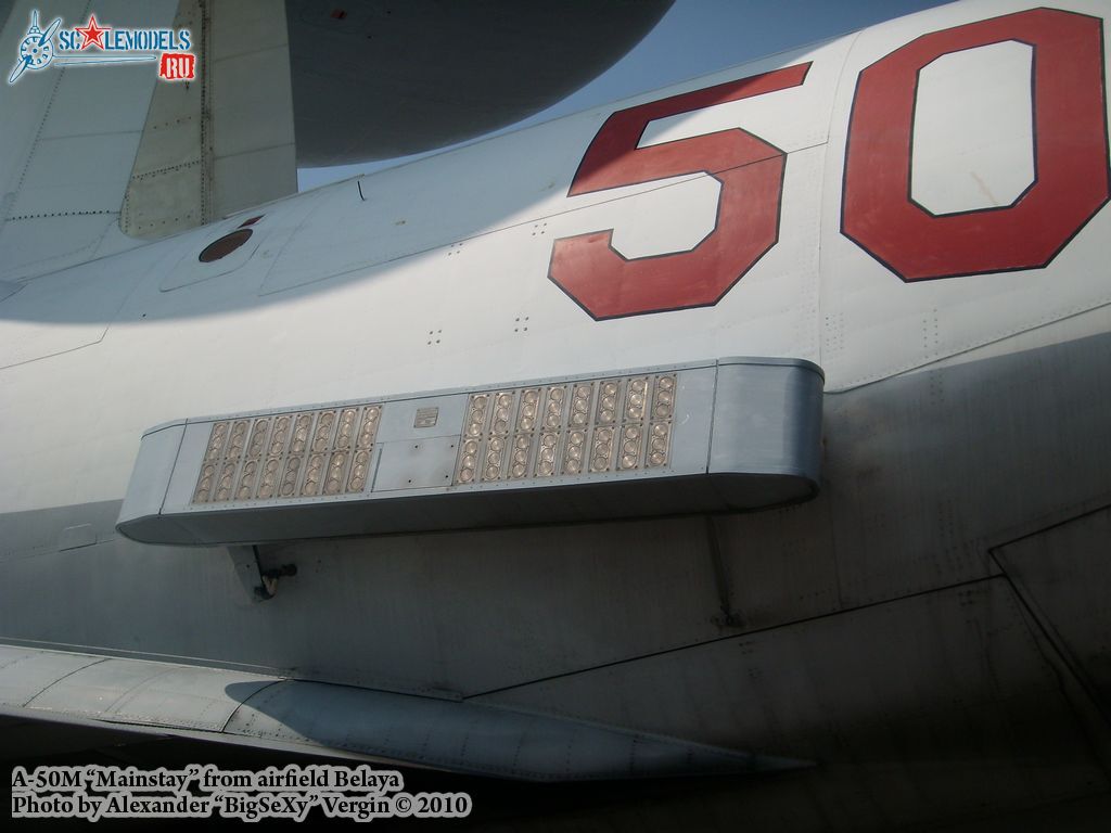SL275629.jpg