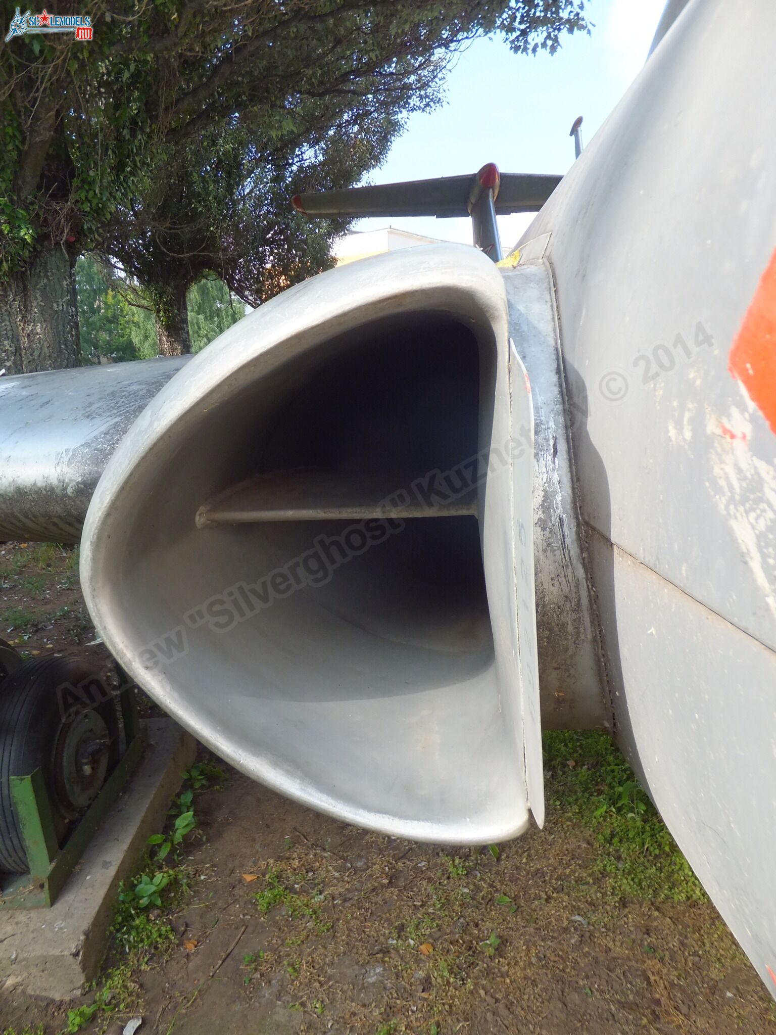 L-29_Delfin_0030.jpg