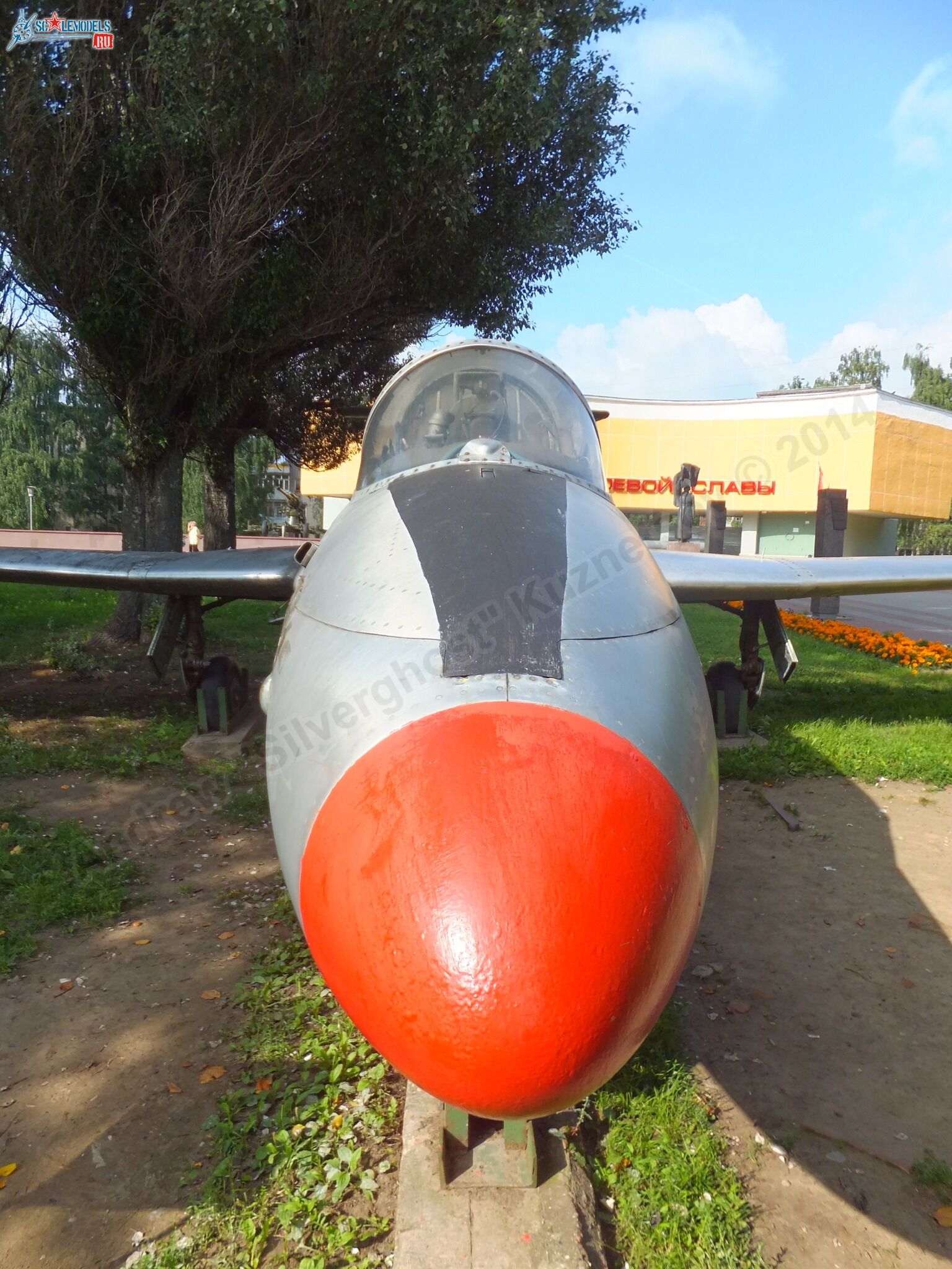 L-29_Delfin_0048.jpg