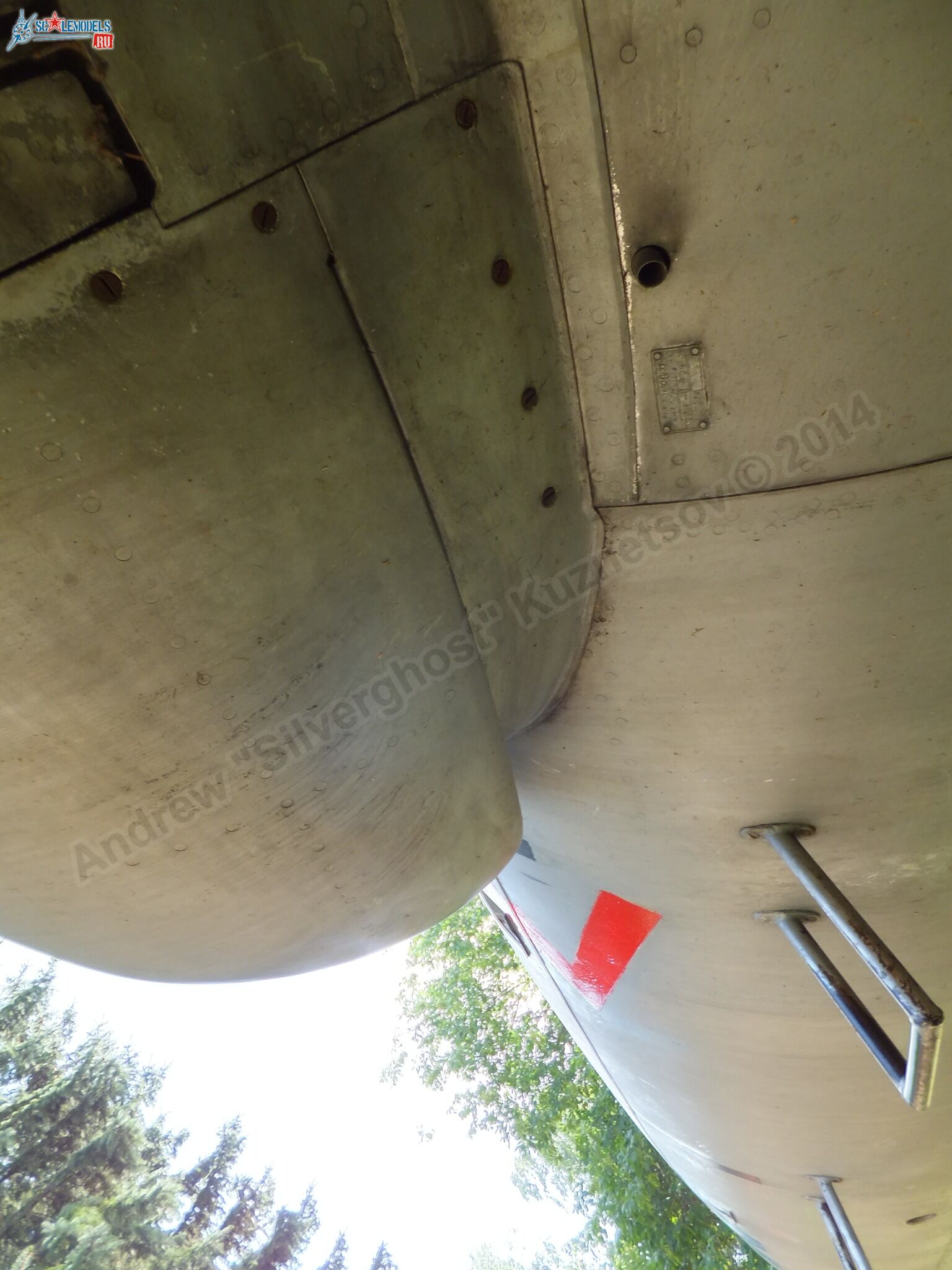 L-29_Delfin_0093.jpg