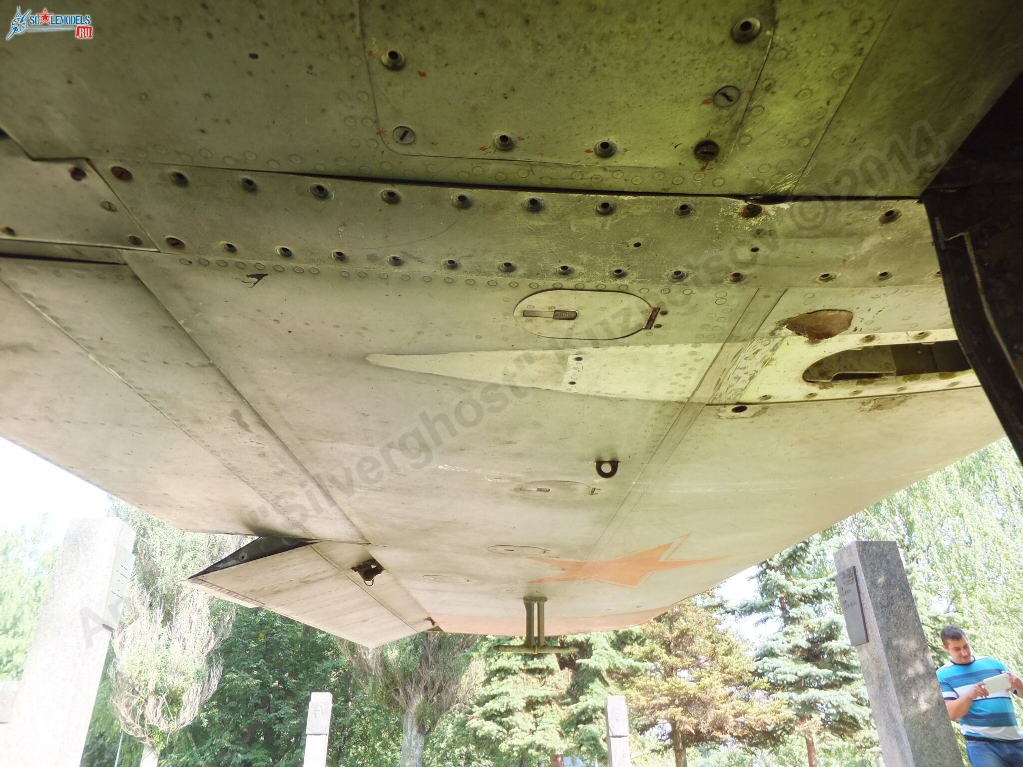 L-29_Delfin_0094.jpg