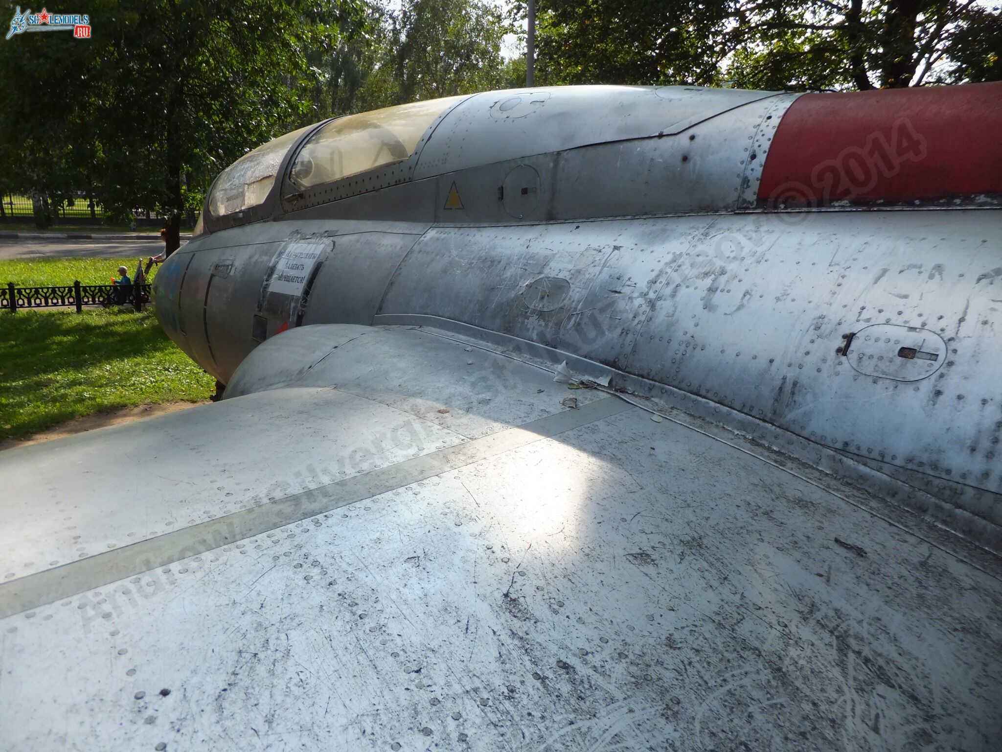 L-29_Delfin_0108.jpg