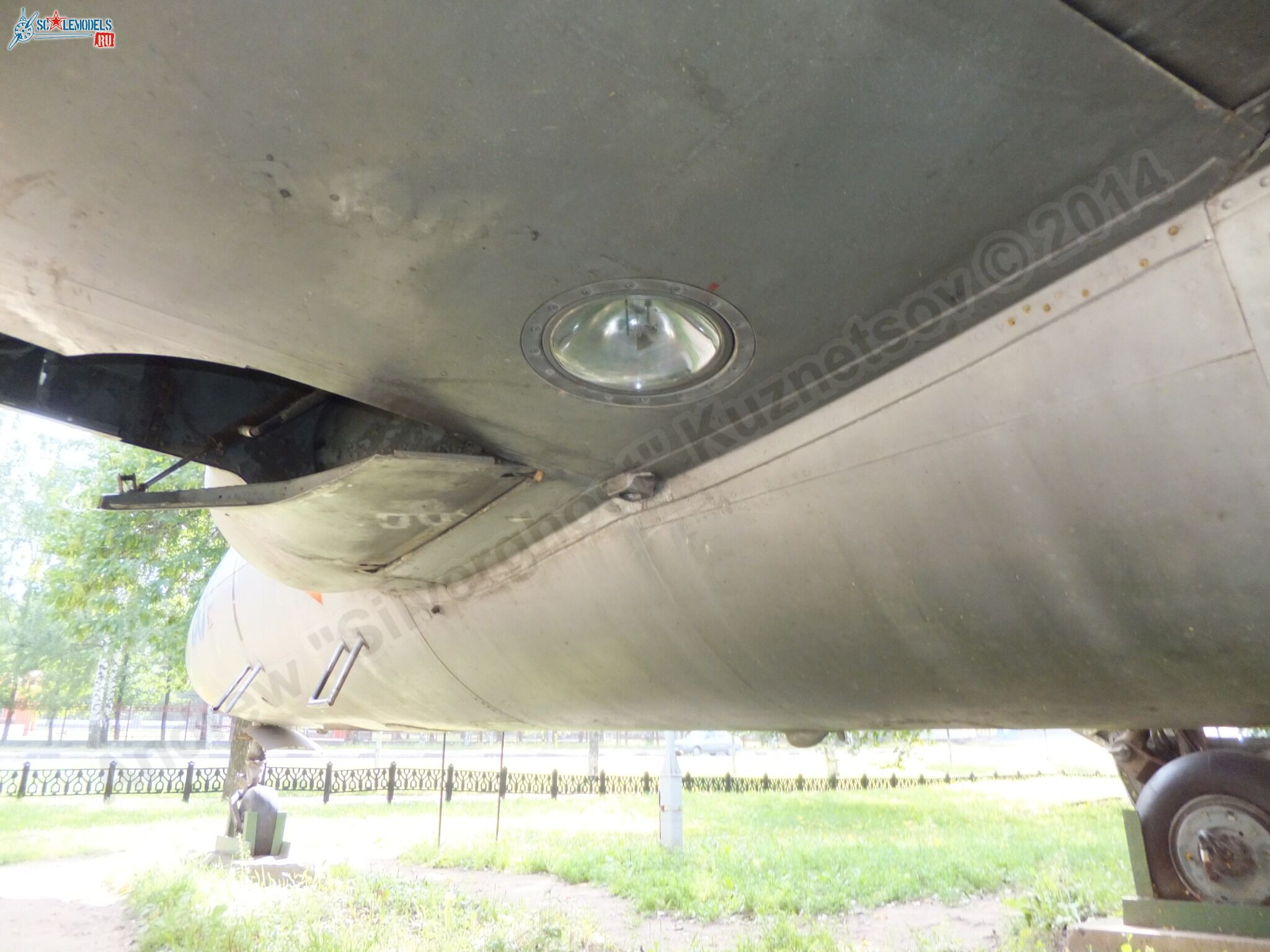 L-29_Delfin_0134.jpg