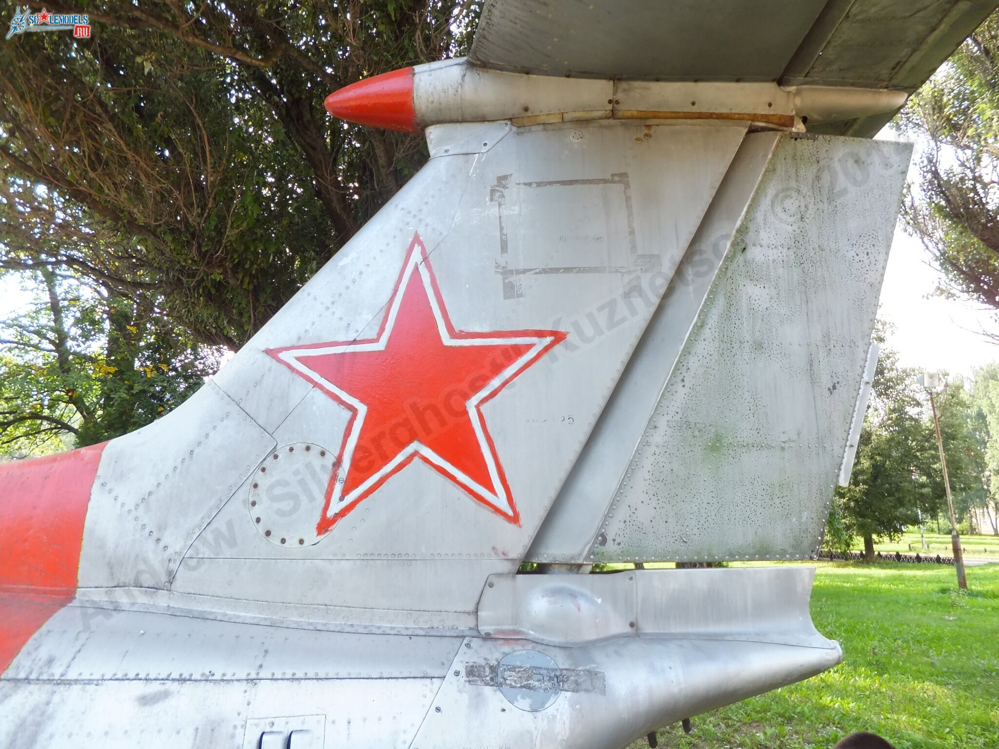 L-29_Delfin_0140.jpg