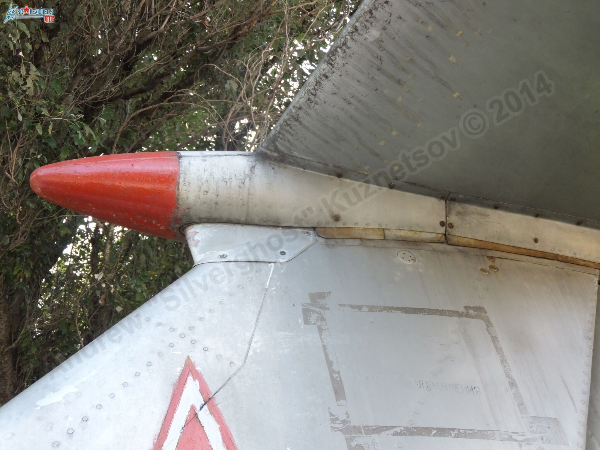 L-29_Delfin_0152.jpg