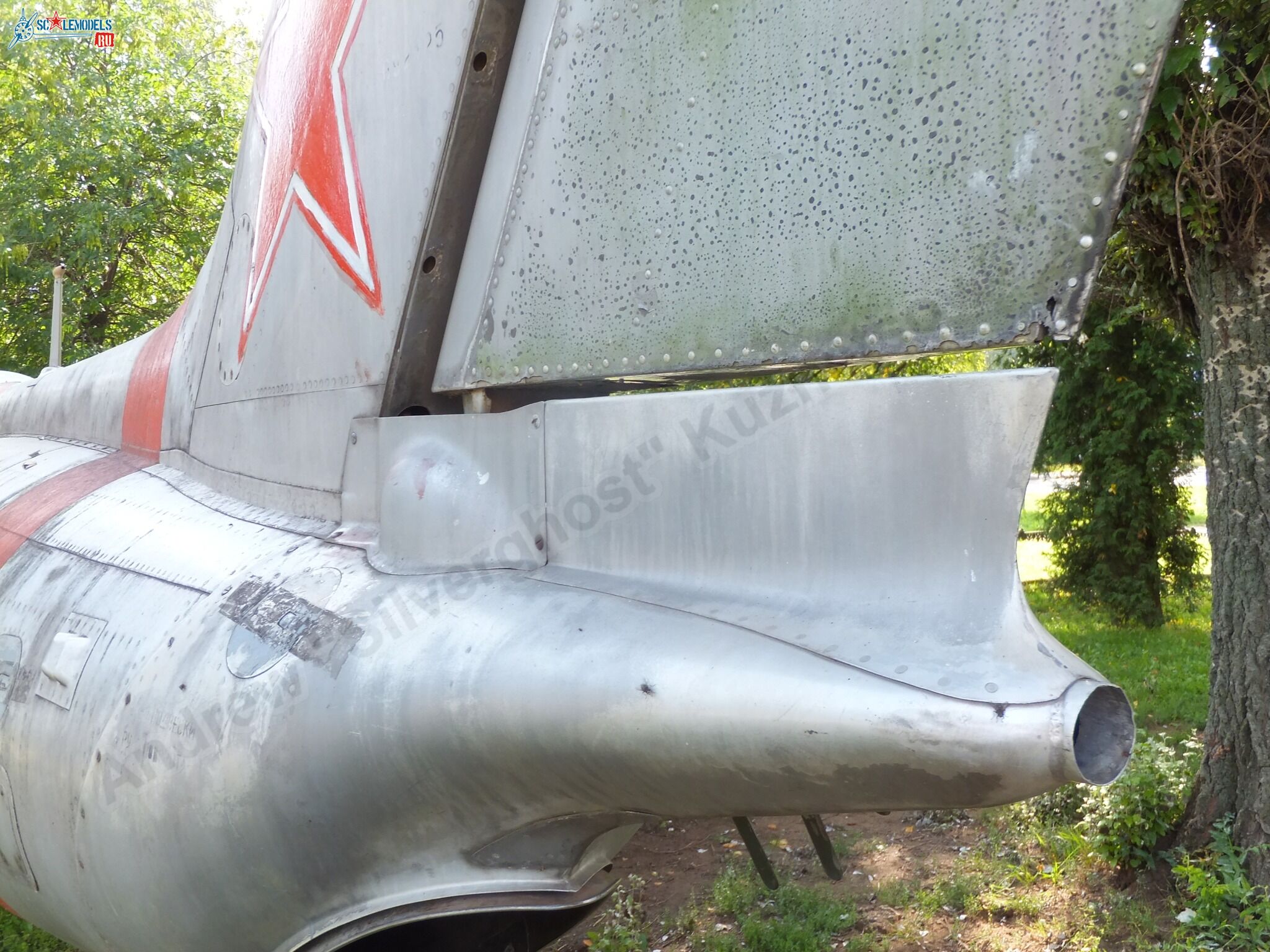 L-29_Delfin_0157.jpg