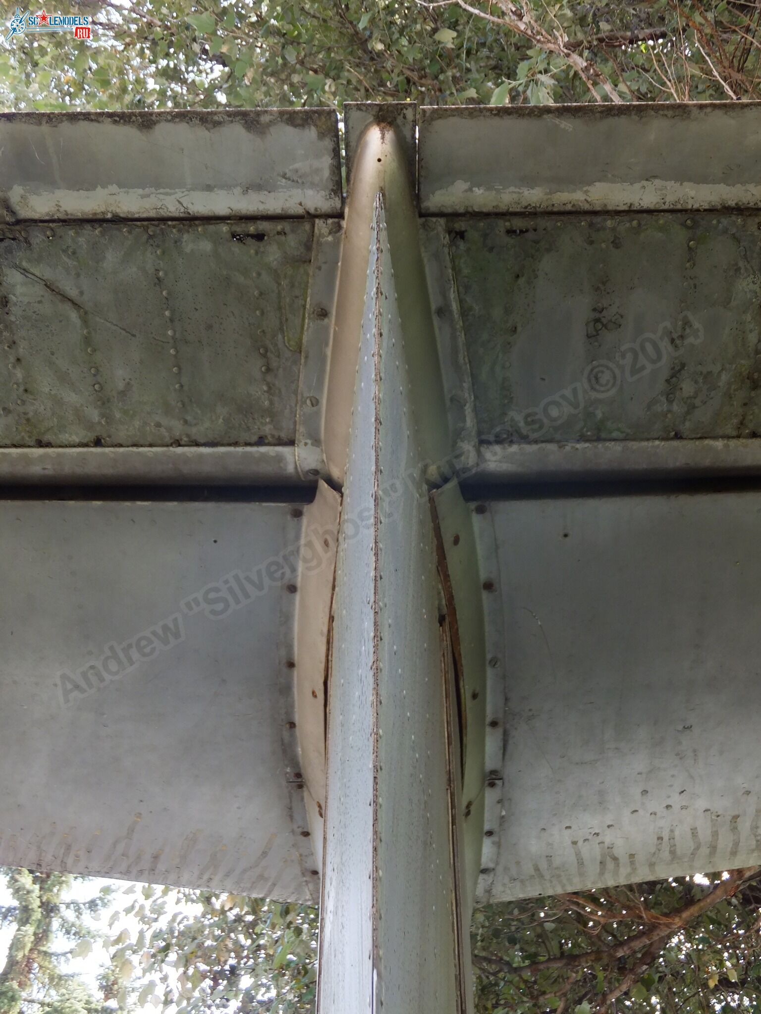 L-29_Delfin_0164.jpg