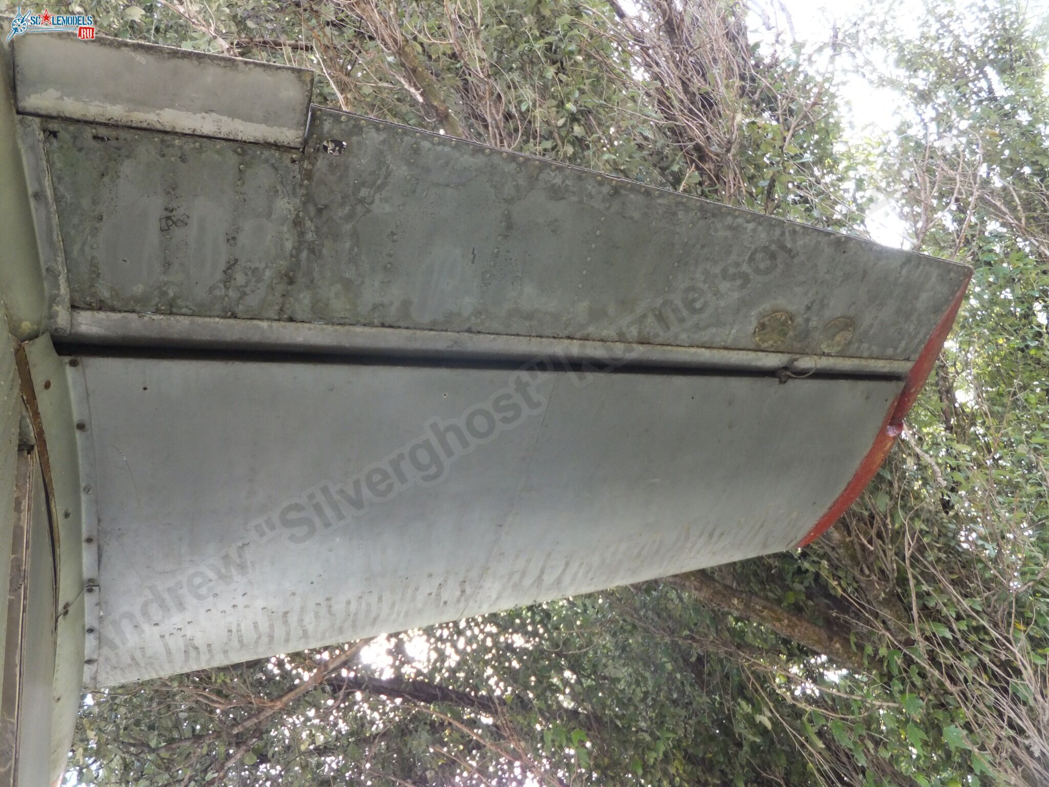 L-29_Delfin_0165.jpg