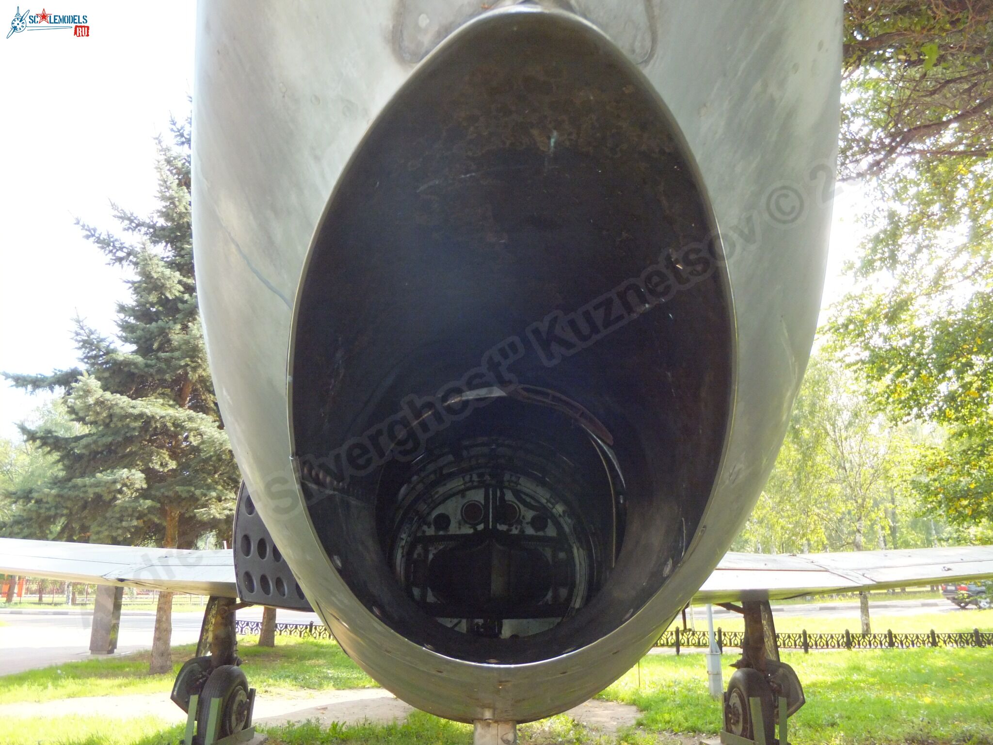 L-29_Delfin_0168.jpg