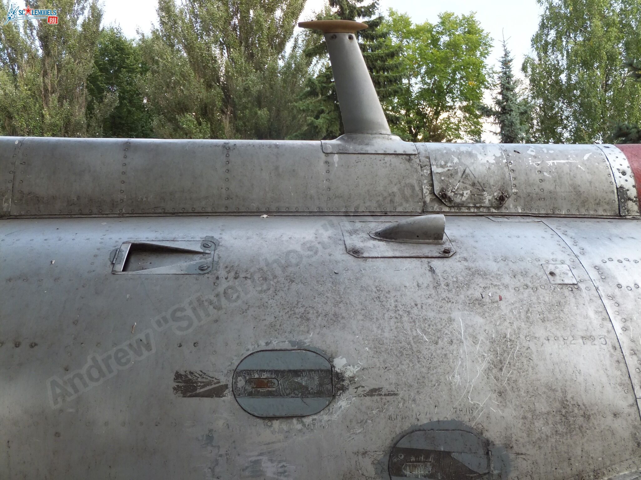 L-29_Delfin_0183.jpg