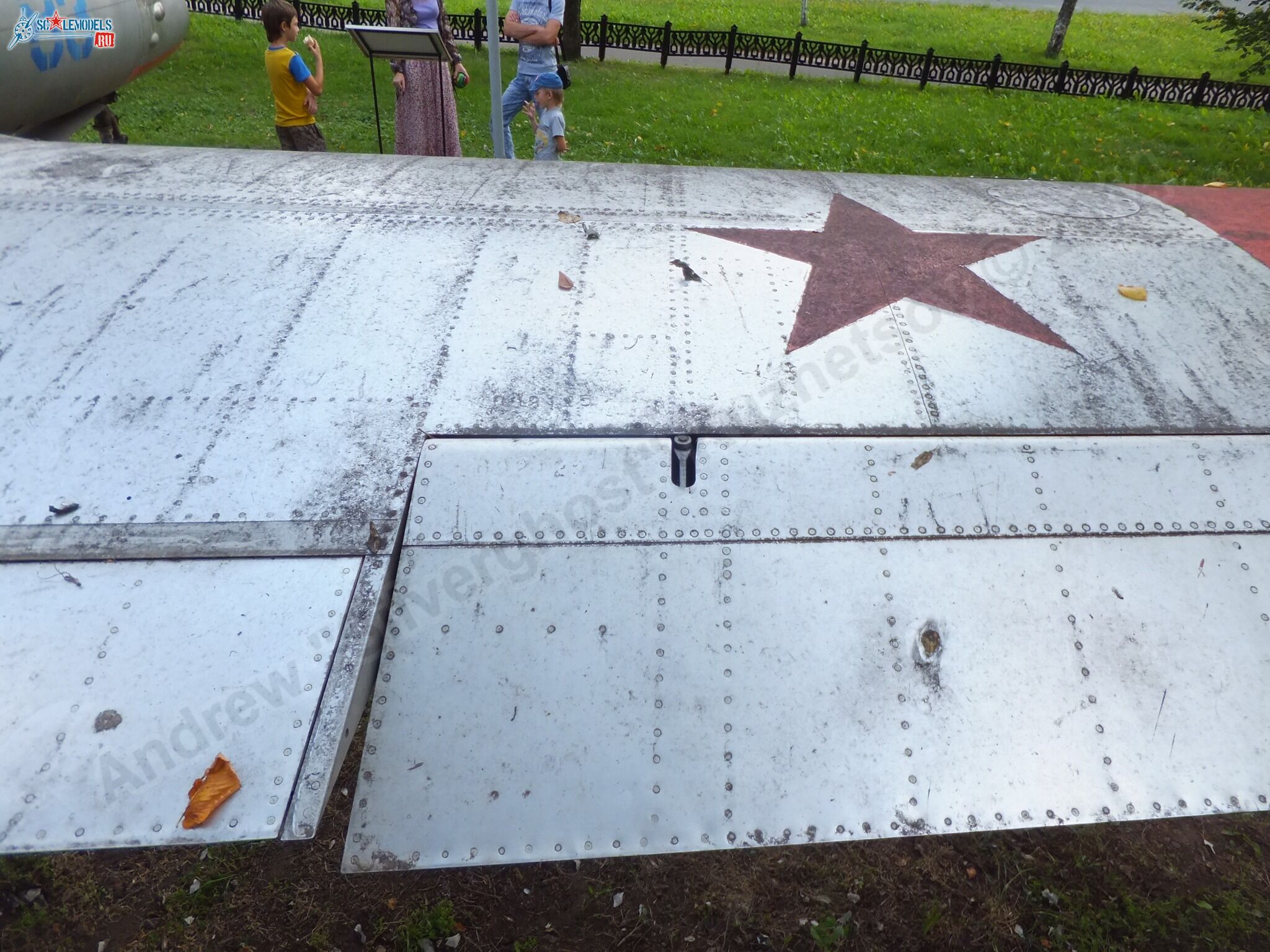 L-29_Delfin_0194.jpg