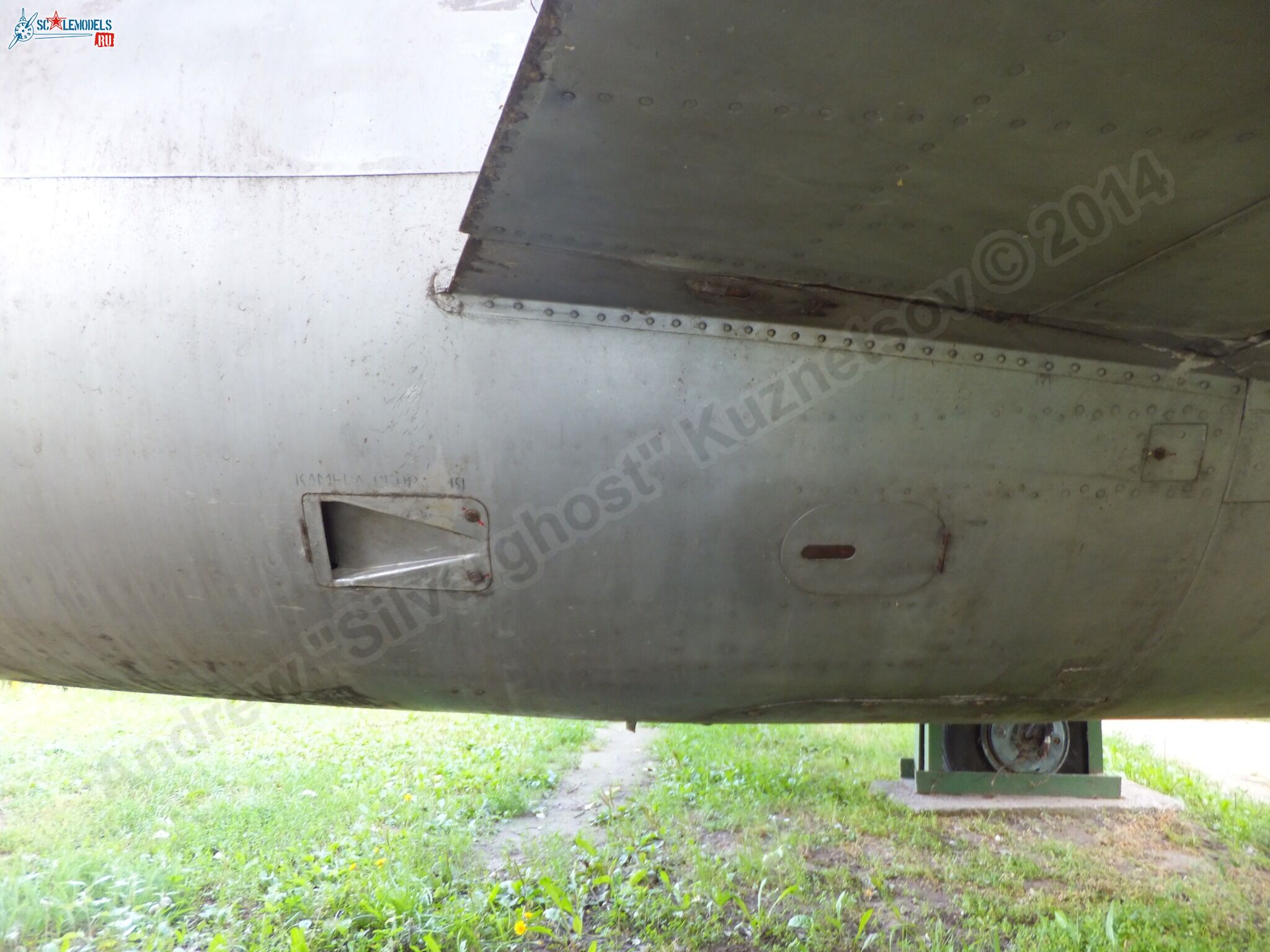 L-29_Delfin_0205.jpg