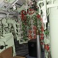 U-2540_0093.jpg