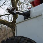 IMG_0604