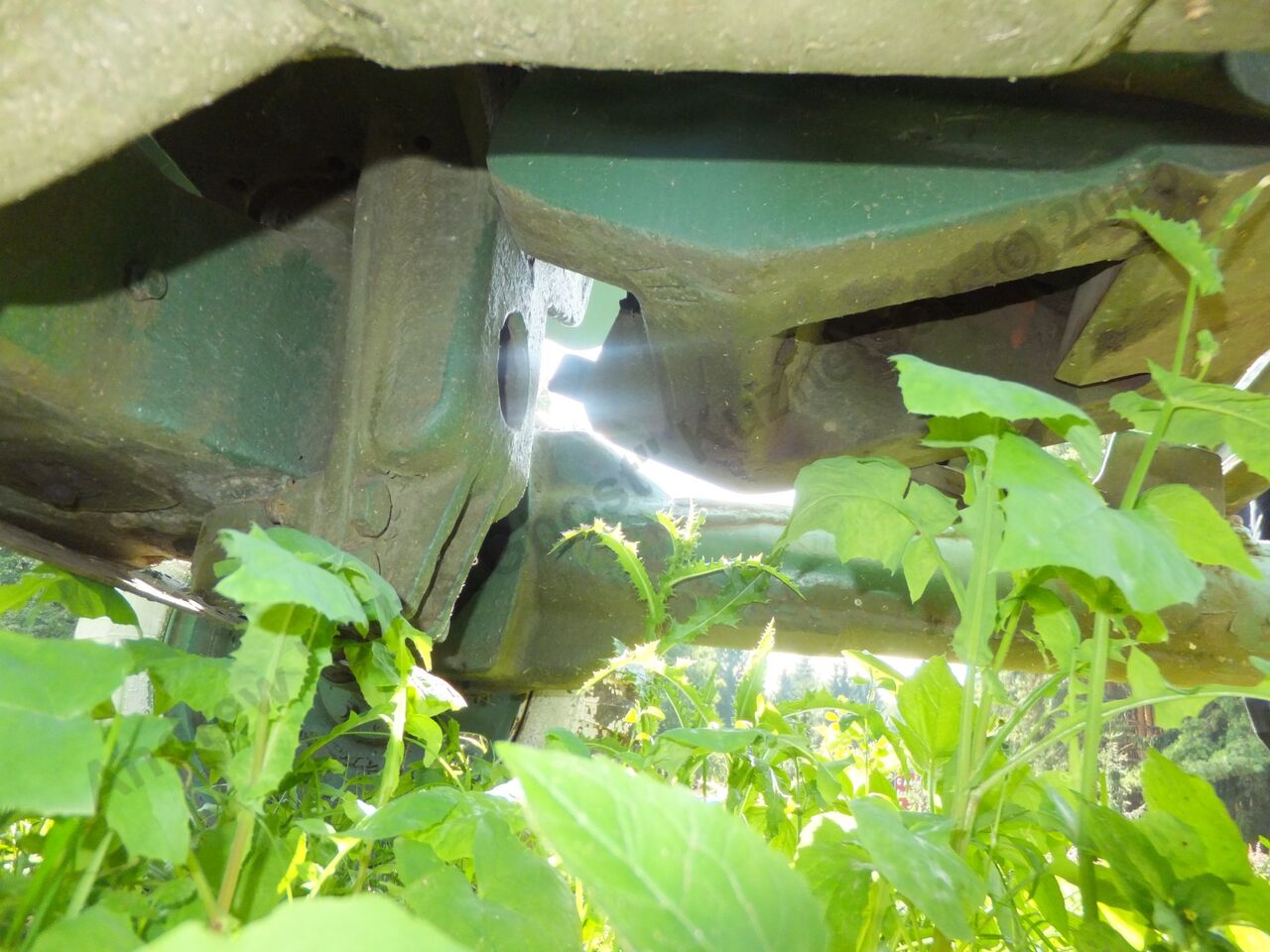 D-44_0081.jpg