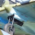 Il-2_Dubna_0051.jpg