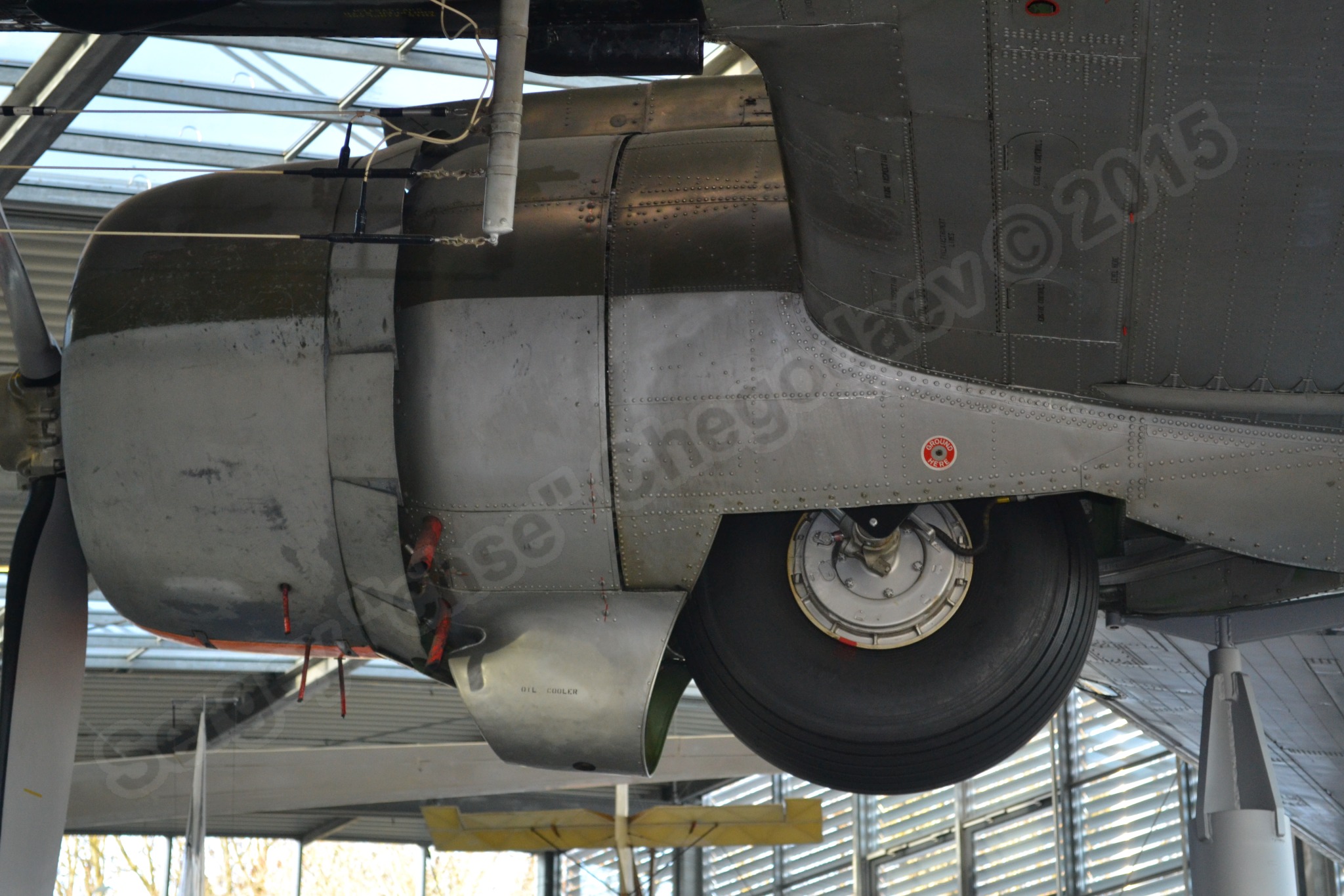 C-47D_0019.jpg