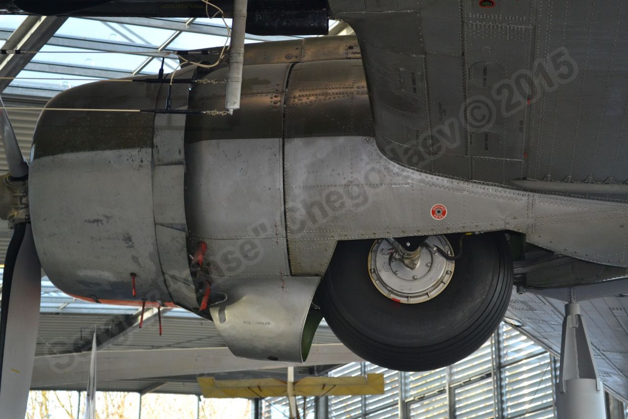 C-47D_0019.jpg