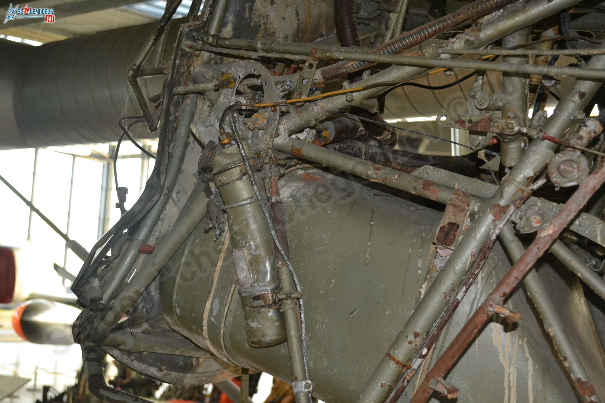 Arado_66D_0030.jpg