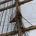 IMG_2909