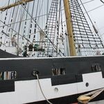 IMG_2917