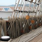 IMG_2978