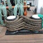 IMG_2987
