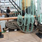 IMG_2990