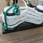 IMG_3031
