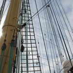 IMG_3458