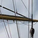 IMG_3559