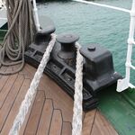 IMG_3594