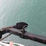 IMG_3782