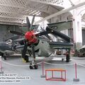 gannet_iwm_0.jpg