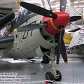 gannet_iwm_1.jpg