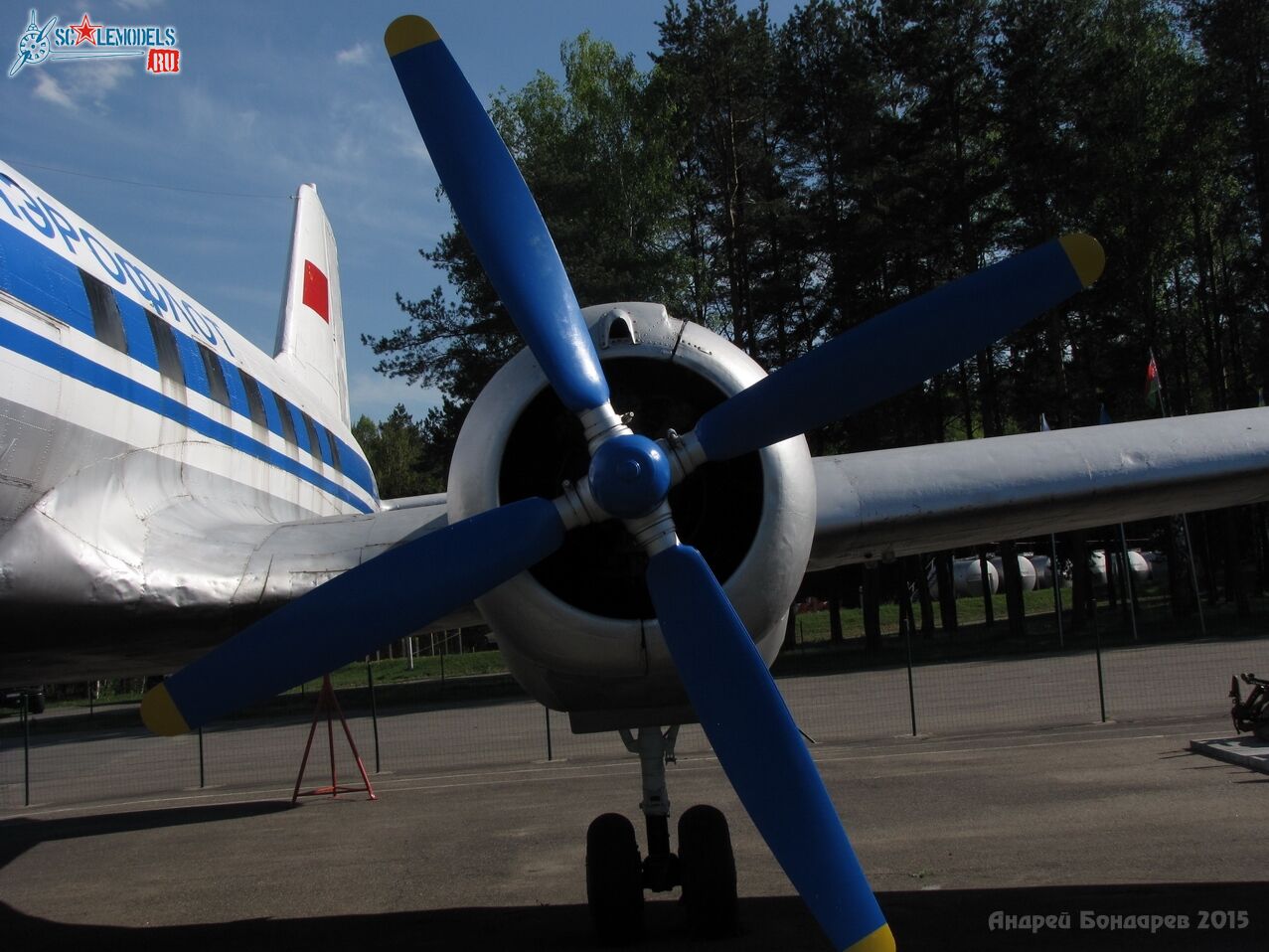 10_Il-14P.jpg