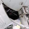 gannet_iwm_12.jpg