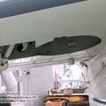 gannet_iwm_13.jpg
