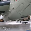 gannet_iwm_14.jpg