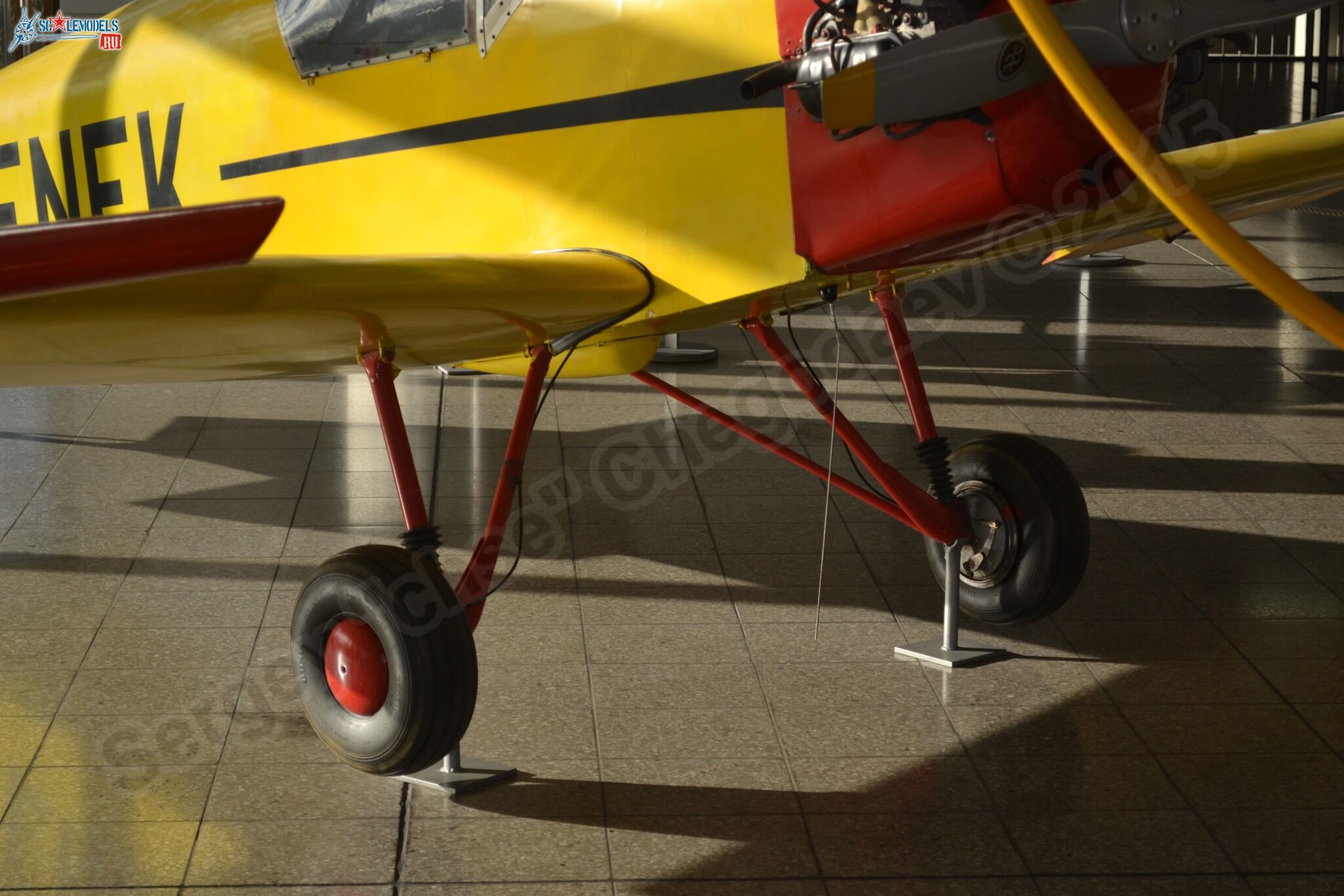 Druine_D-31_0012.jpg