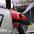 gannet_iwm_6.jpg