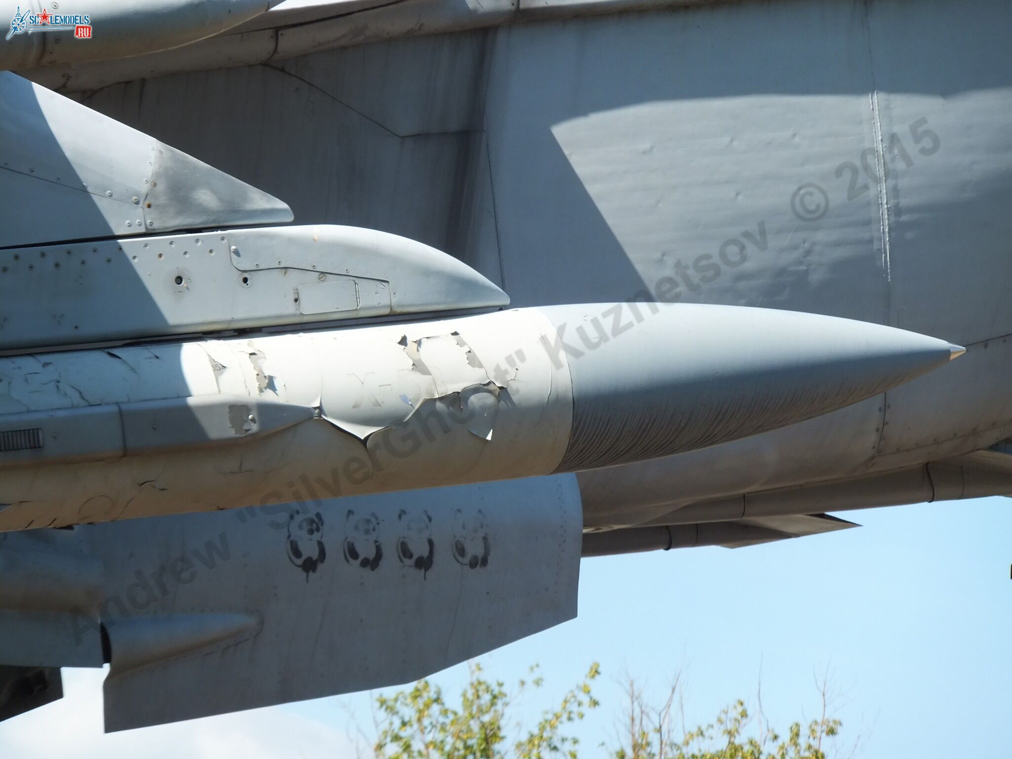 MiG-25RBS_0052.jpg