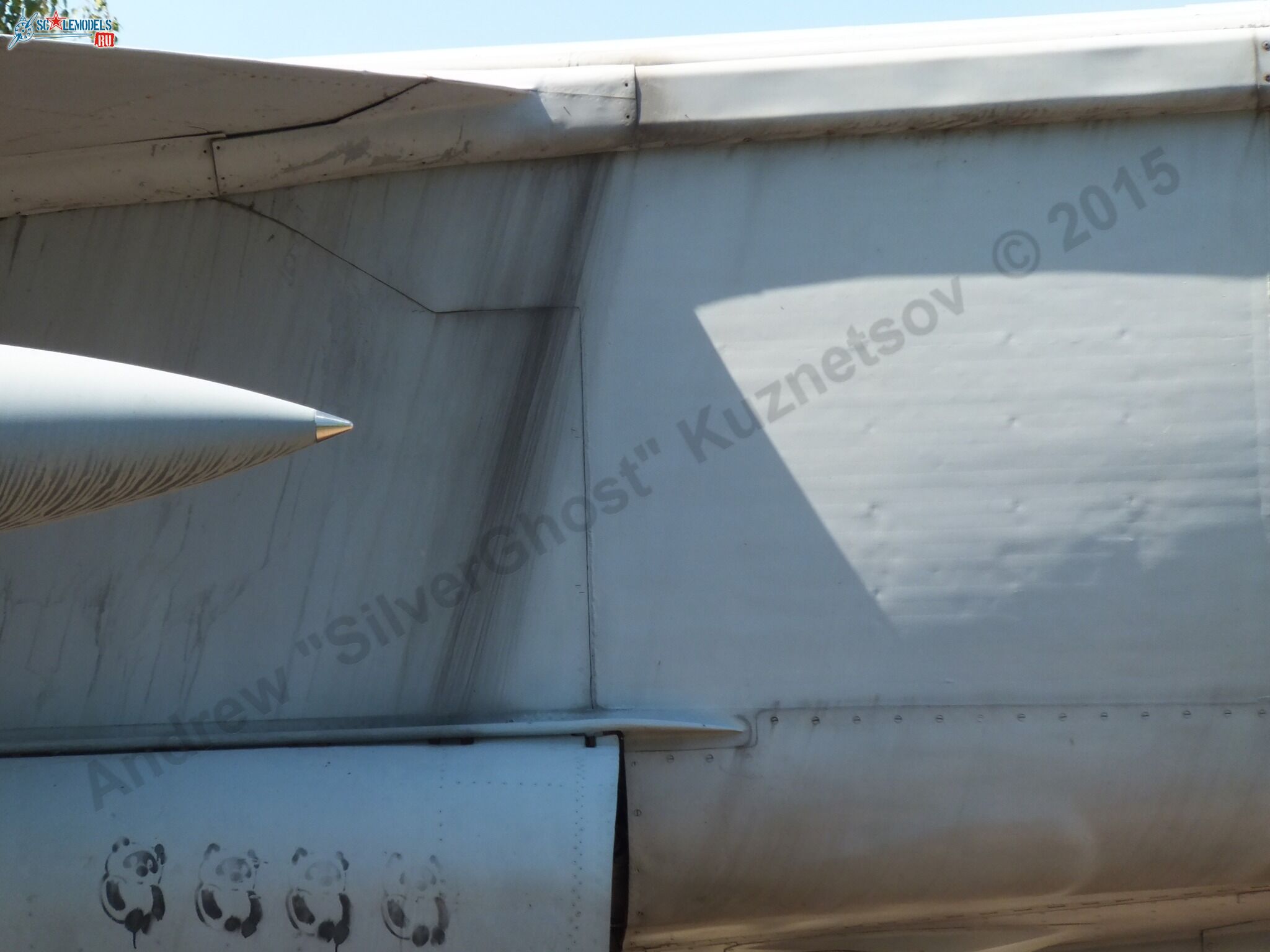 MiG-25RBS_0059.jpg
