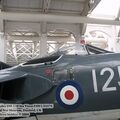 seavixen_iwm_17.jpg